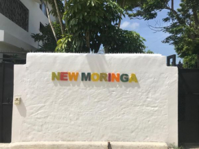 NEW MORINGA